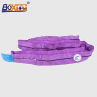 Polyester Purple Round Webbing Lifting Sling