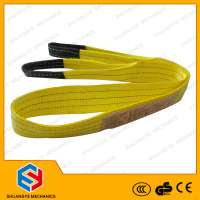 Polyester Lifting Belts/ Woven Sling/ Webbing Sling